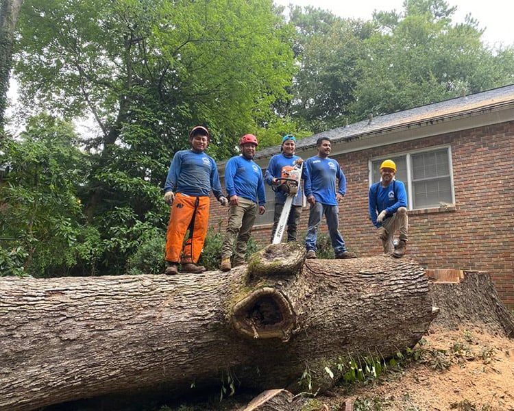A group of men are standing on top of a large log.