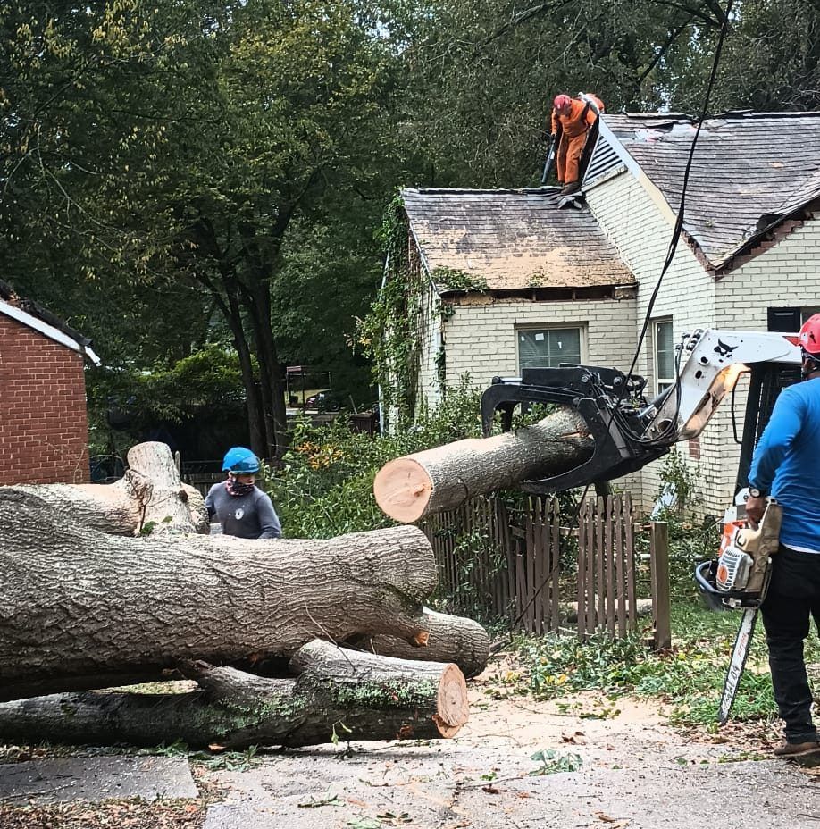 A man is standing next to a large log in front of a house.