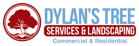 Dylan's Tree Services & Landscaping - logo