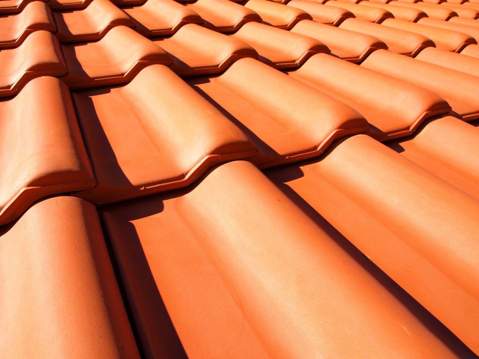 Terracotta roof tiles, overlapping pattern.