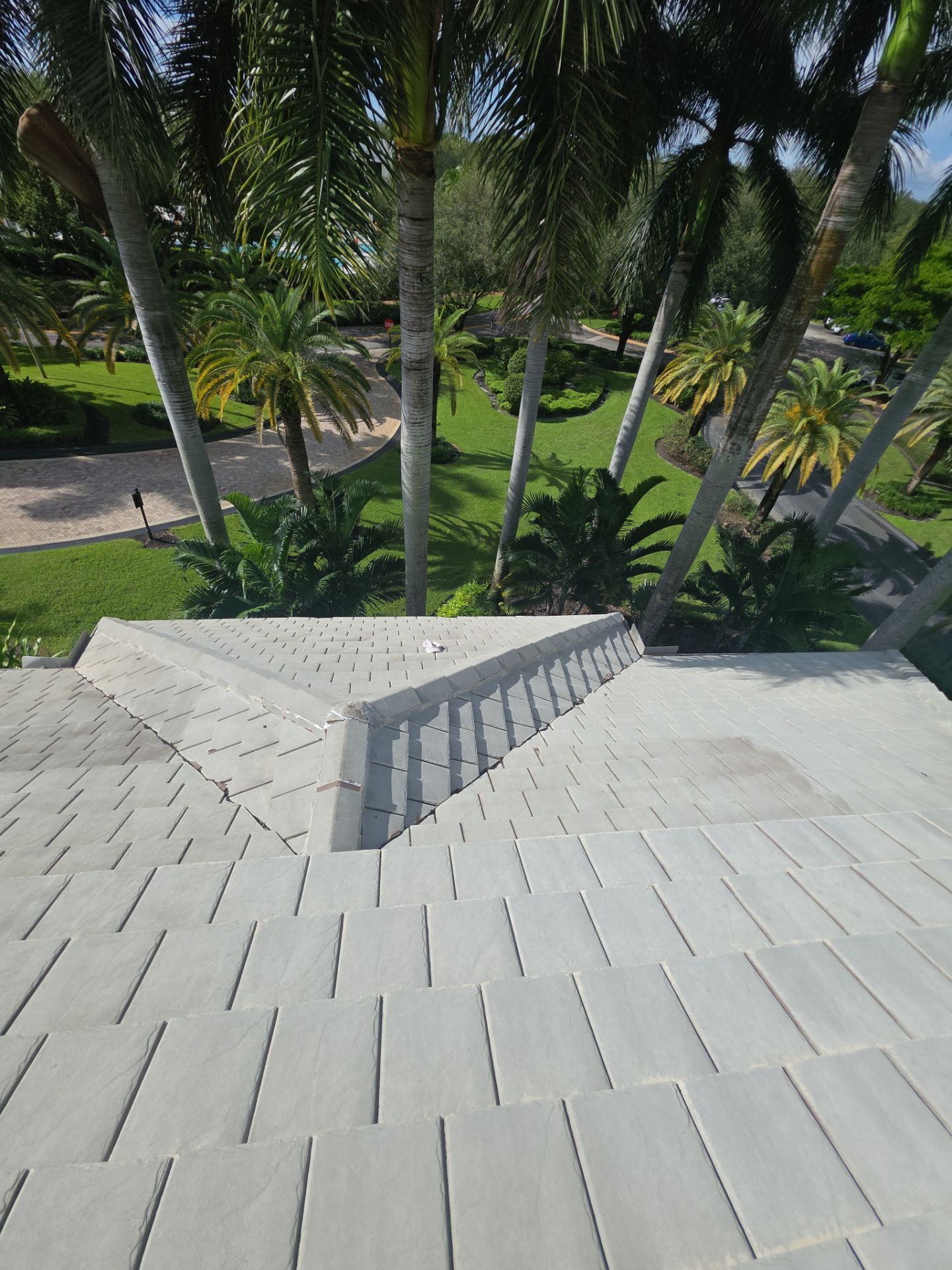 View from a rooftop with light gray tiles, angled peak. Palm trees and green lawn in background.