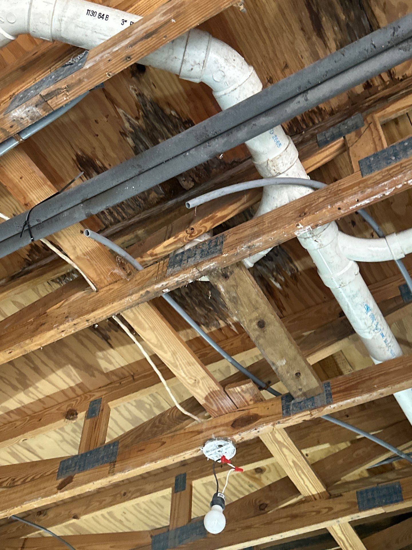 Wooden ceiling with plumbing pipes and wires. White PVC pipes are visible, as well as electrical wires and a lightbulb.