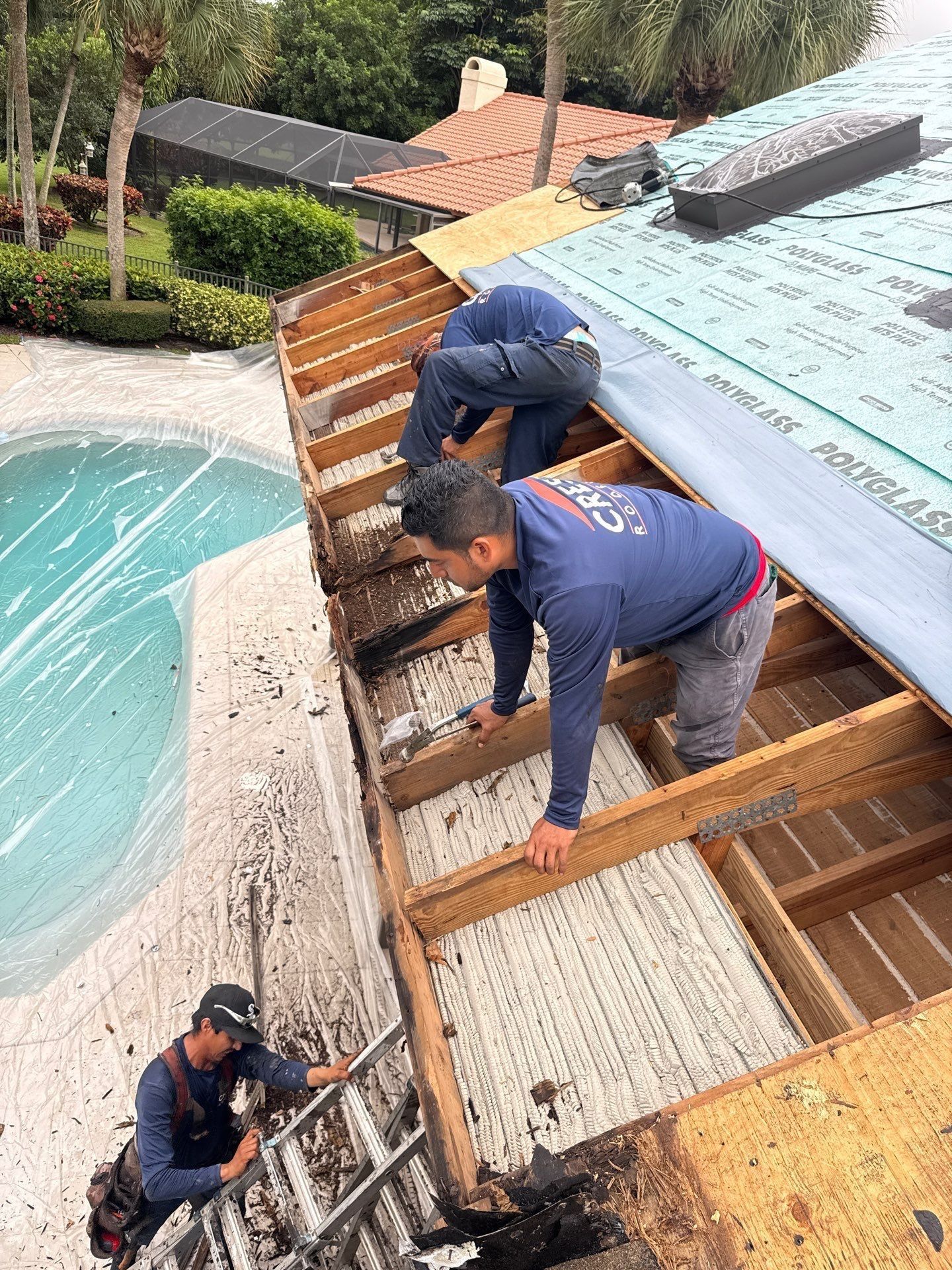 Three workers repairing a roof near a swimming pool. One climbs a ladder, two work on the structure.