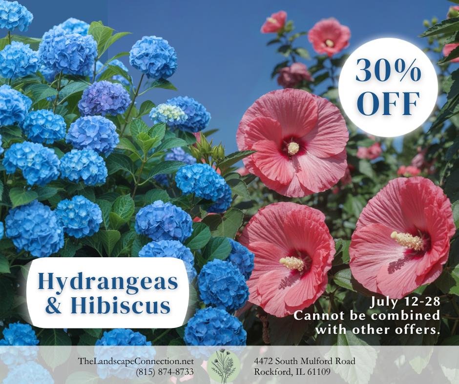 Happy Hour - $8 off any shrub