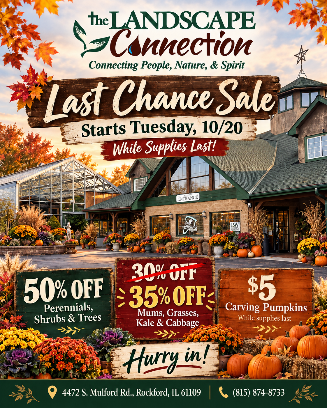 The Landscape Connection fall plant sale in Rockford, IL, starting Tuesday, October 20: 35% off mums, grasses, cabbage, kale, and fall plants, plus 50% off trees, shrubs and perennials and $5 carving pumpkins. Shop fall color and Zone 5 plants at TLC, 4472 S. Mulford Rd., Rockford.