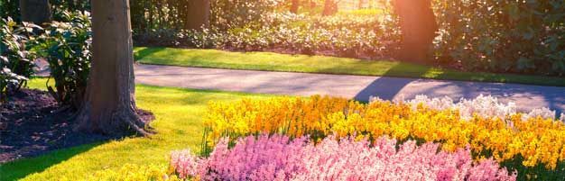 Sunlit garden with pink flowers, green grass, and trees by a curving path