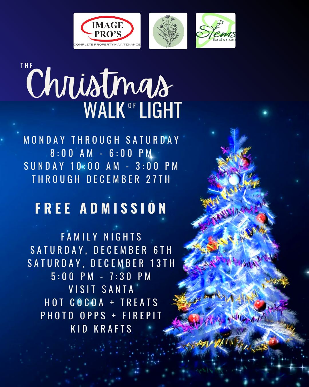 The Christmas Walk of Light