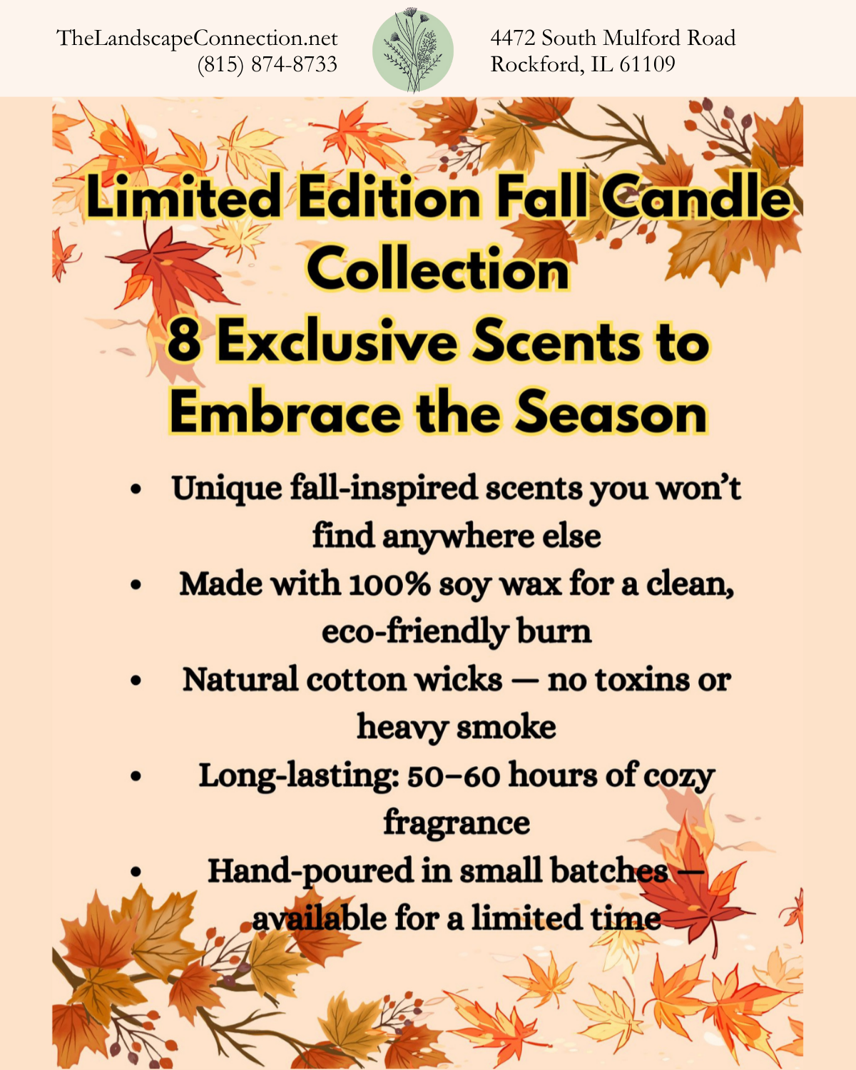 Fall candle collection advertisement: Limited edition with eight exclusive scents, fall-inspired, soy wax, cotton wicks, and long-lasting.
