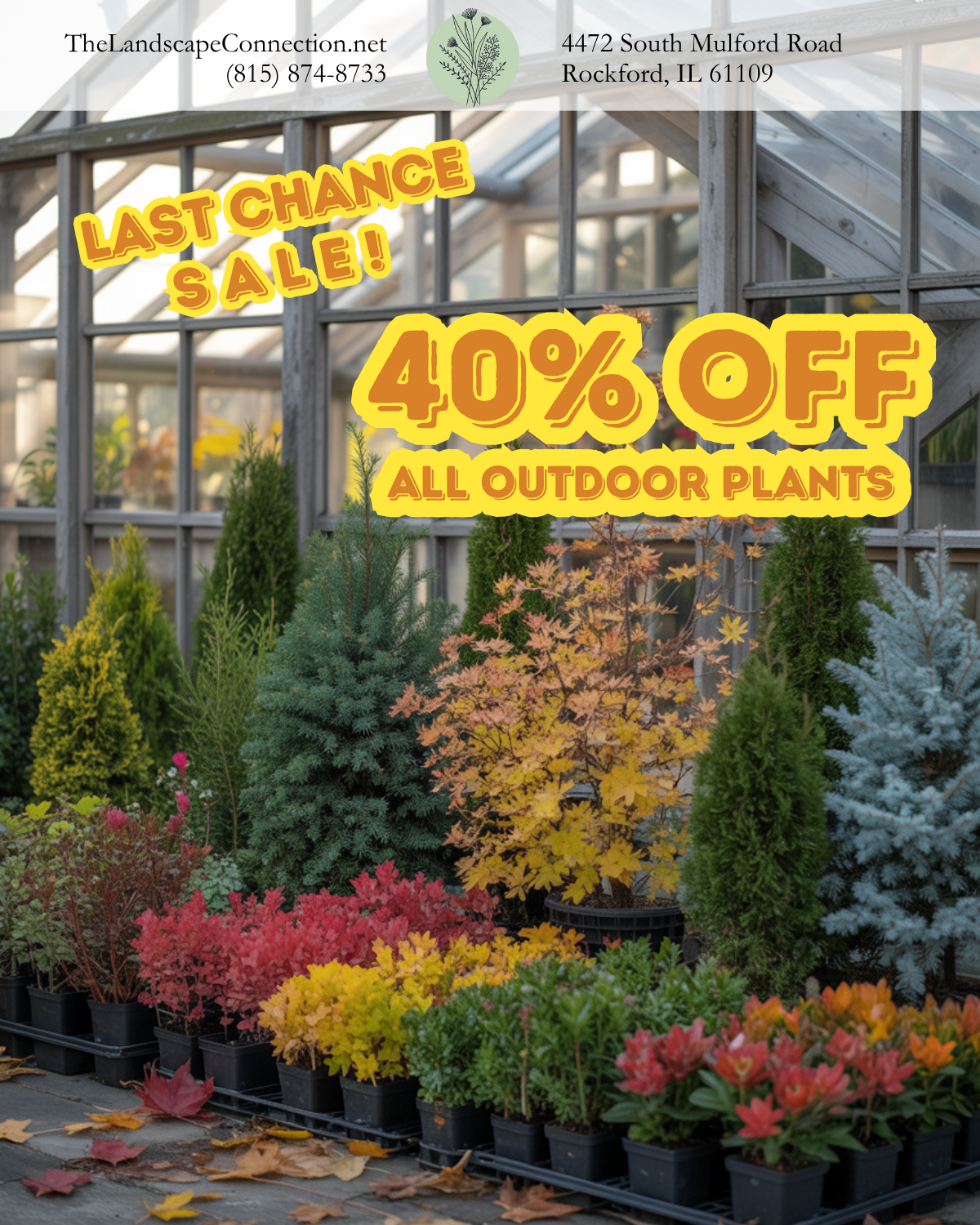40% off all outdoor plants