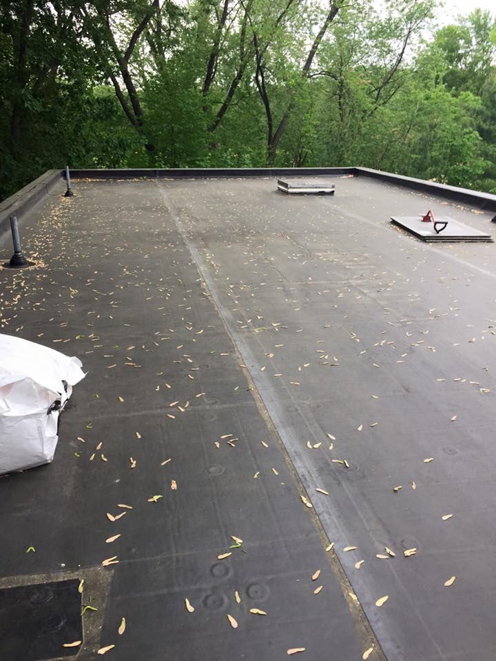 A roof with a lot of leaves on it and trees in the background