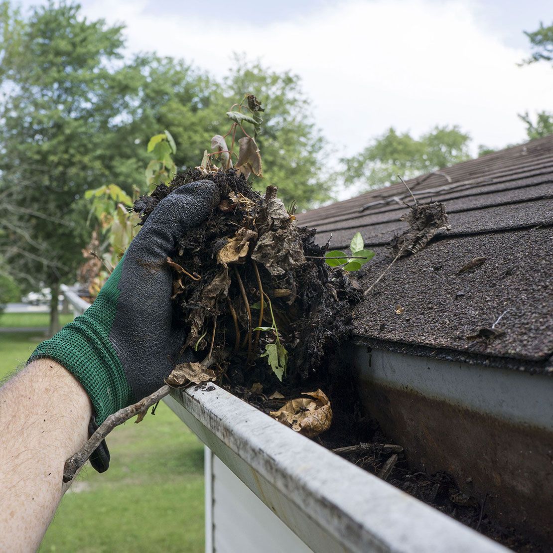 Gutter cleaning