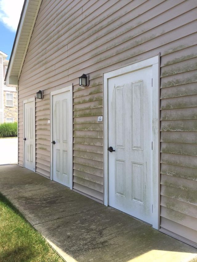 Before siding cleaning