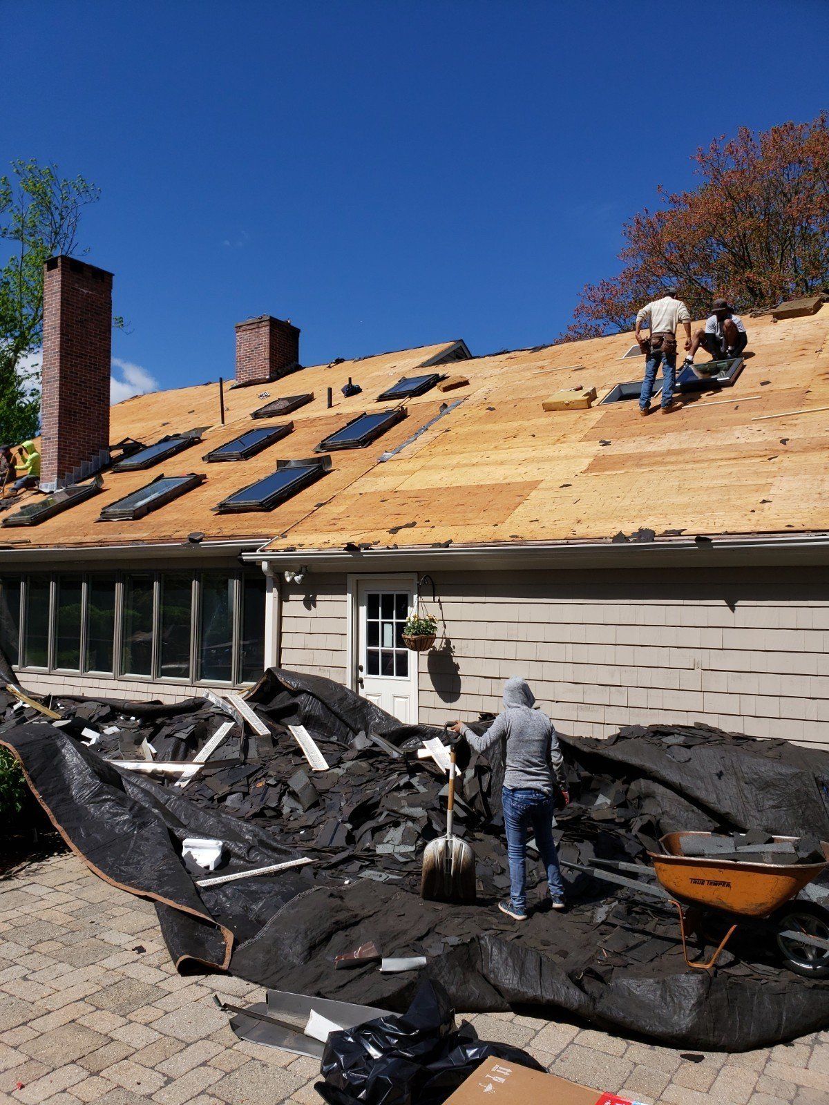 Roofing crew removing old shingles from a house. Workers on the roof, person shoveling debris into a tarp, and a wheelbarrow.