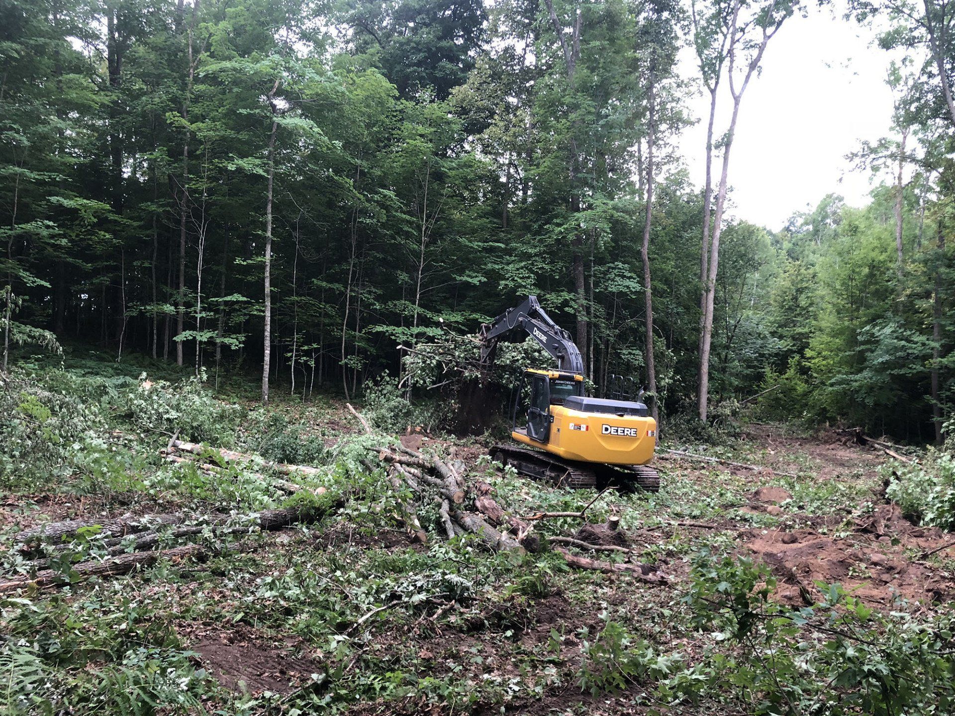 Lot Clearing Service