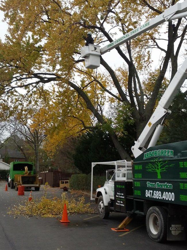 Tree bucket truck service