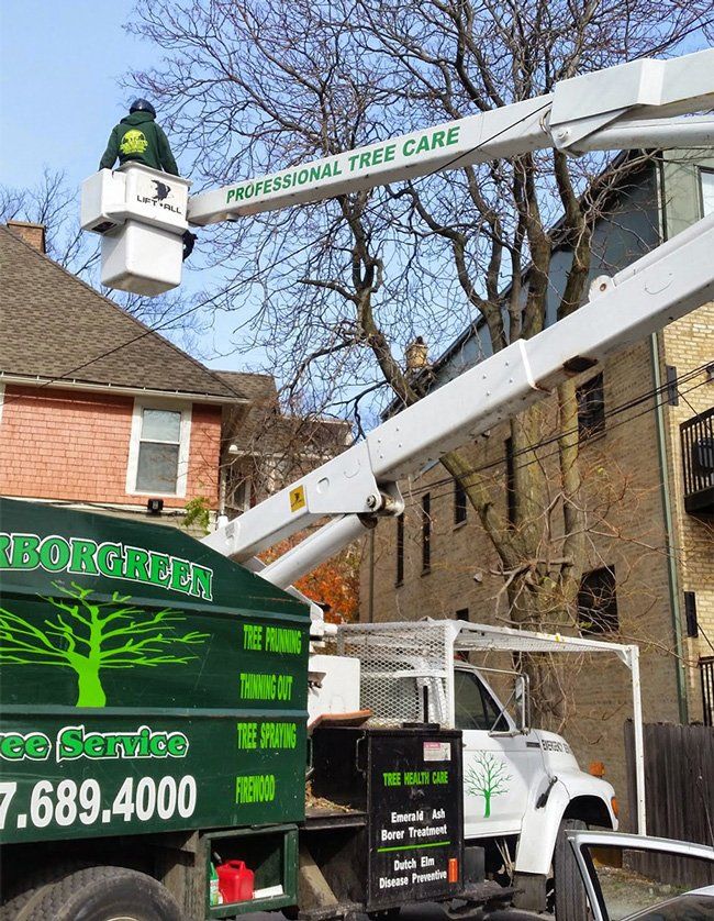 Tree bucket truck service