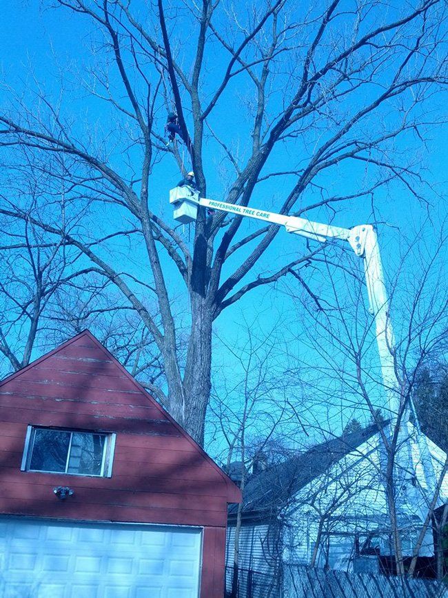 Tree bucket truck service