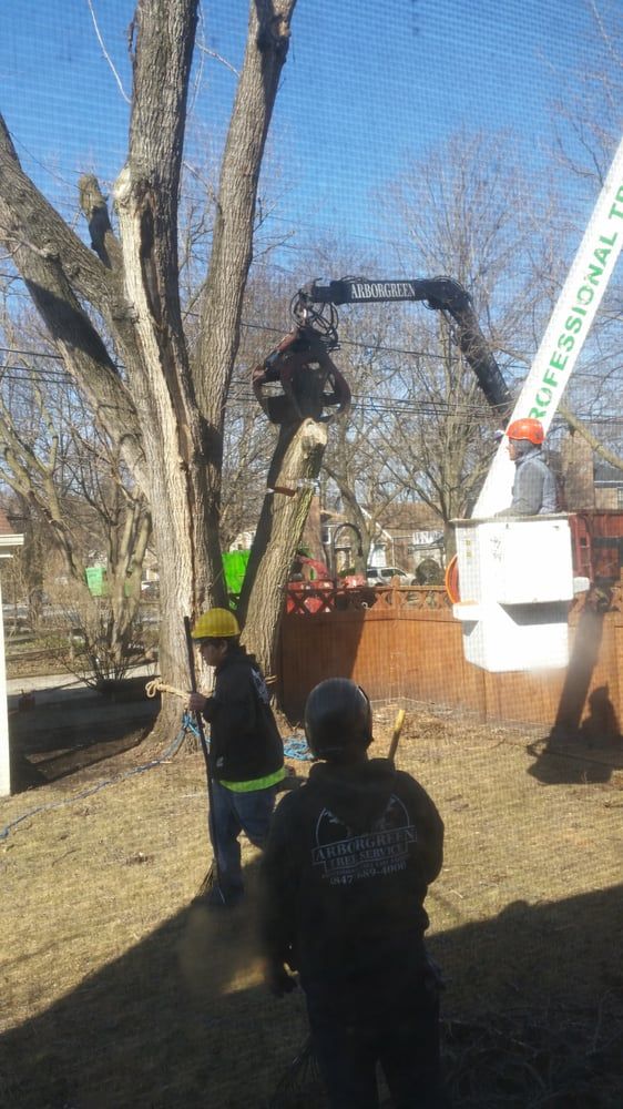Tree bucket truck service