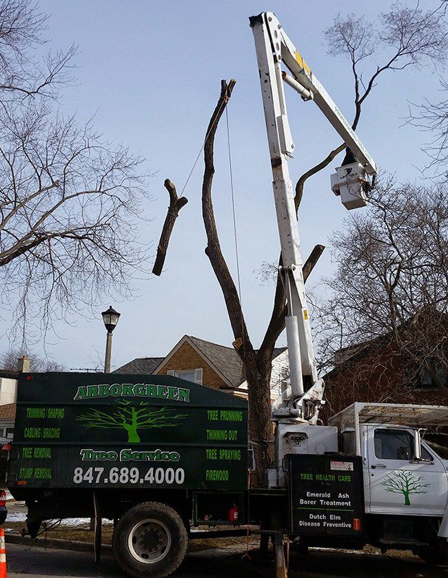 Tree bucket truck service