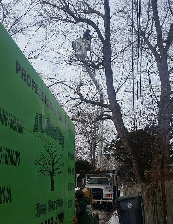 Tree bucket truck service