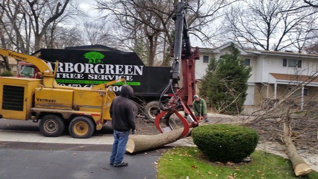 Tree removal