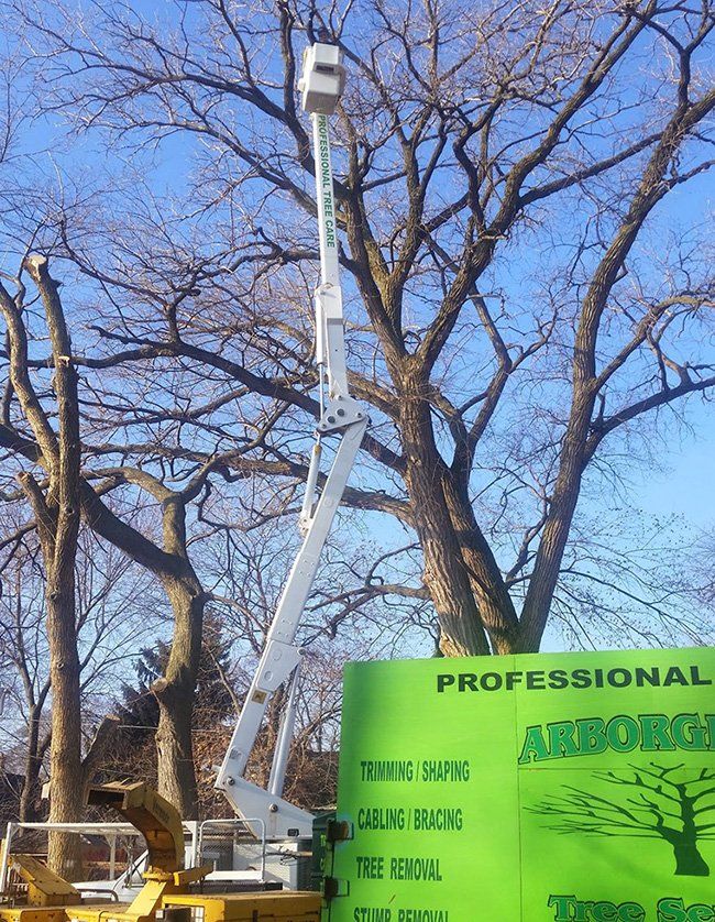 Tree bucket truck service