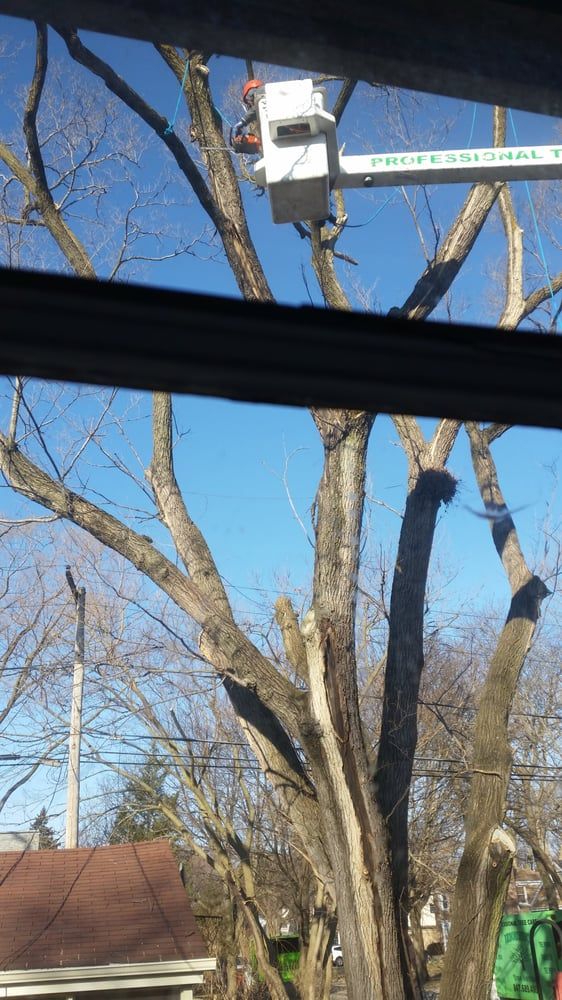 Tree bucket truck service