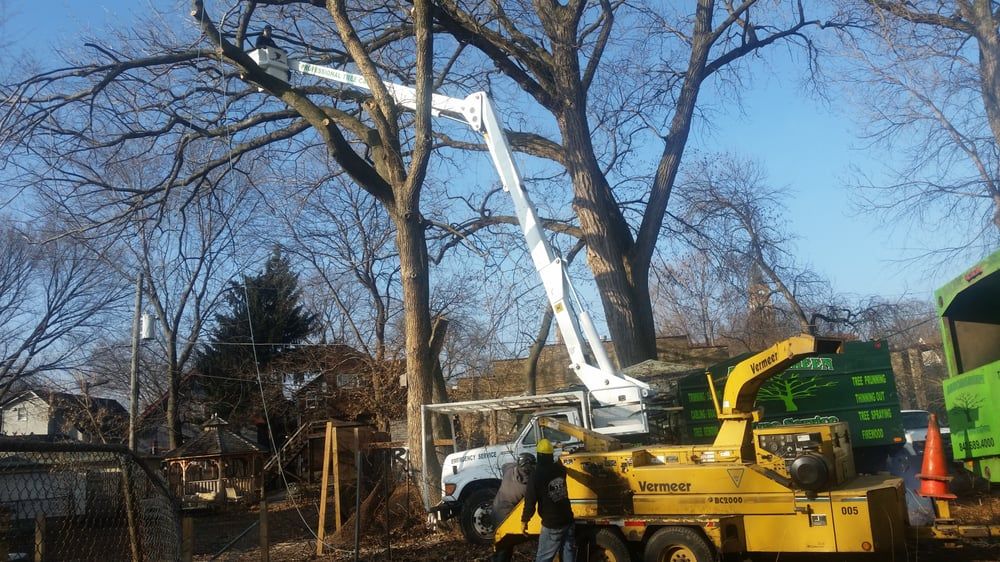 Tree bucket truck service