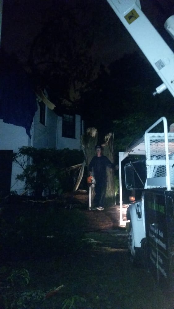 Tree bucket truck service