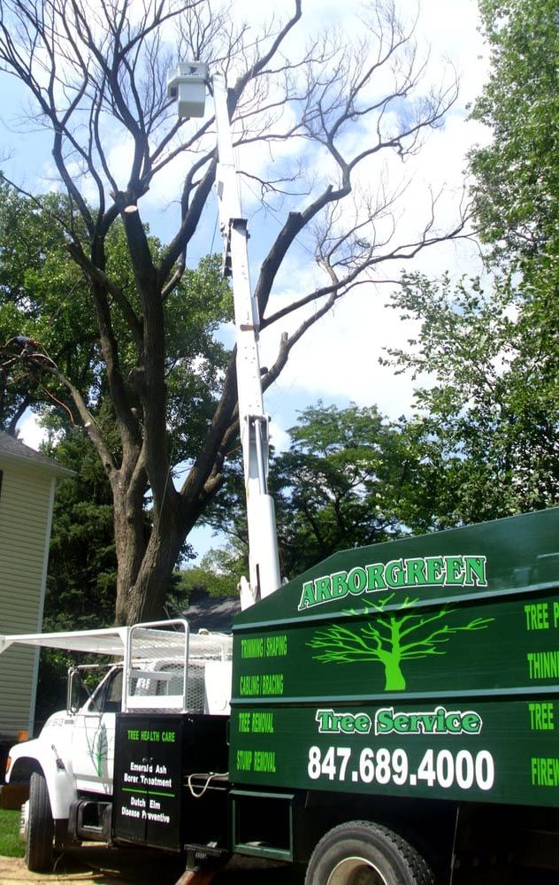 Tree bucket truck service