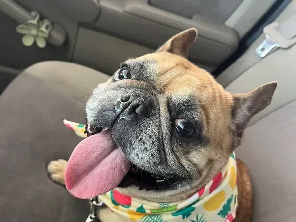 Tito