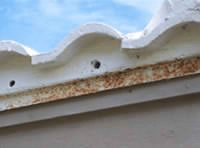 Soffit and roof edge damage
