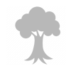 Tree Icon
