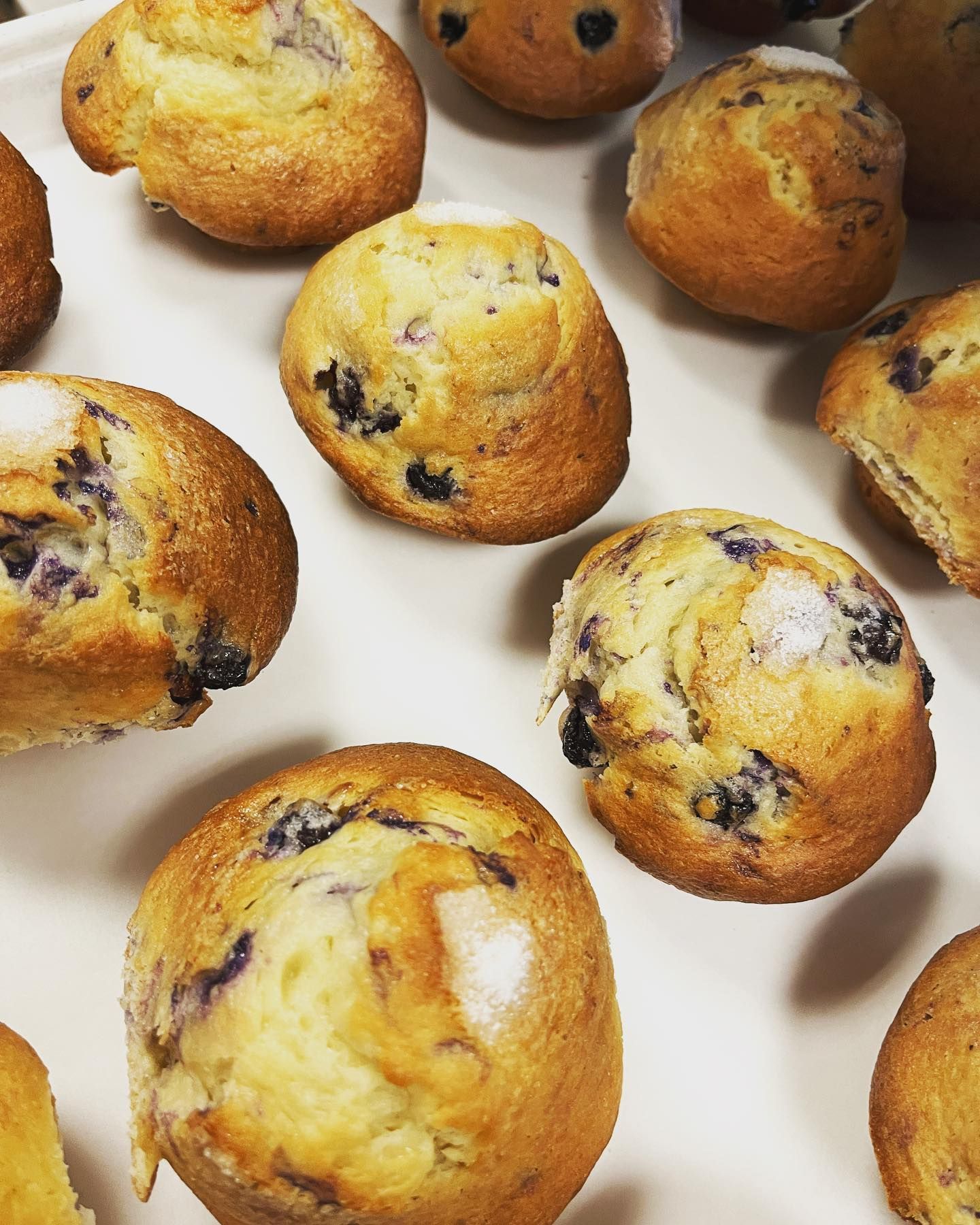 Breakfast at Harpo's Bakery & Cafe