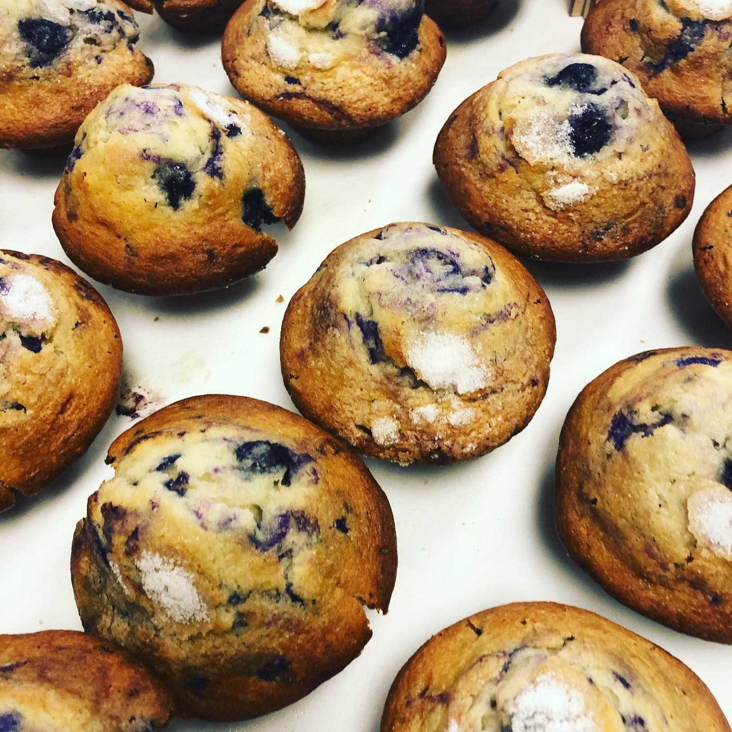 Pastries at Harpo's Bakery & Cafe