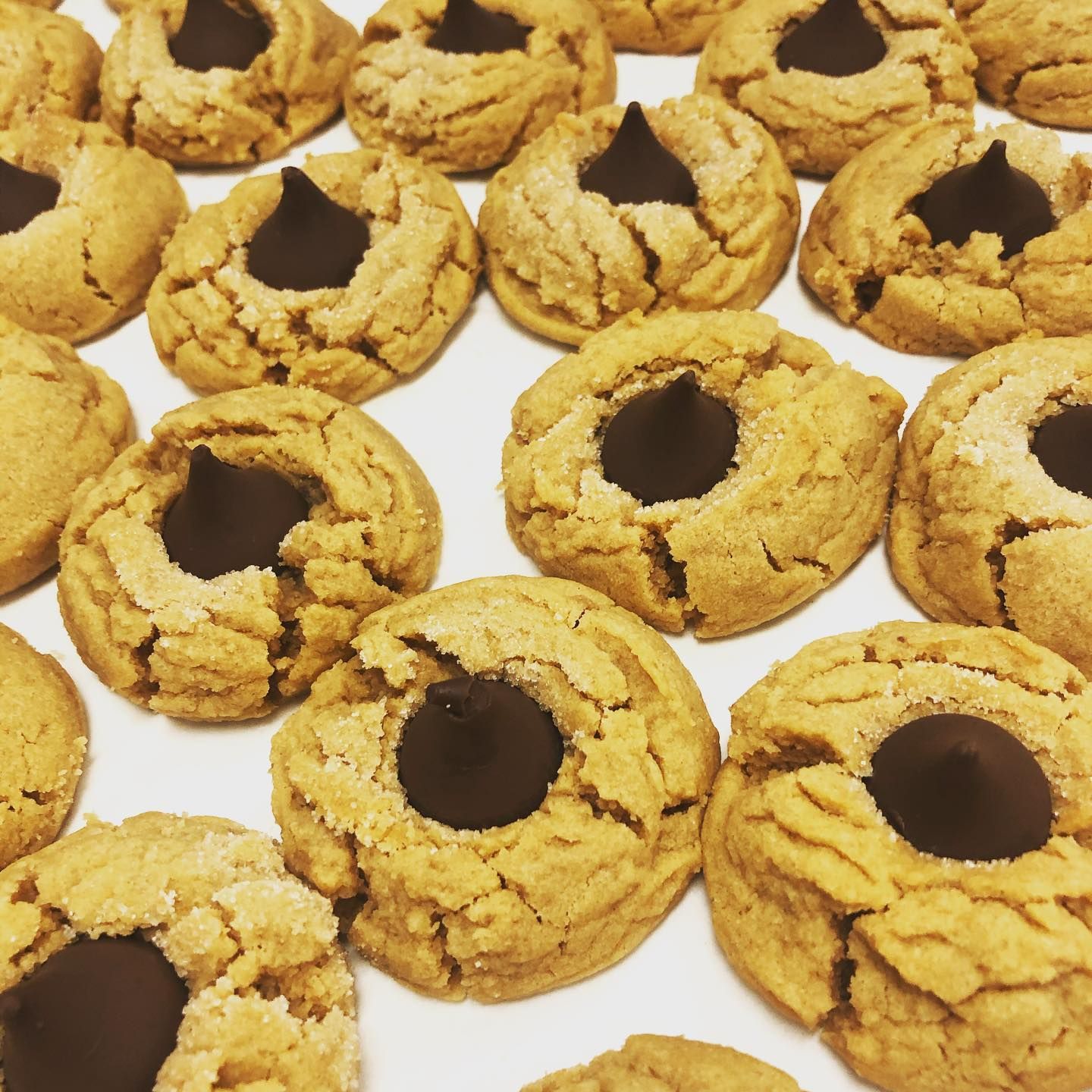 Cookies at Harpo's Bakery & Cafe