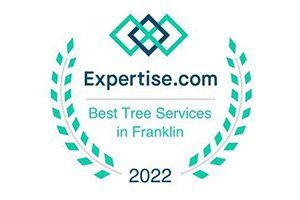 Best tree services in franklin