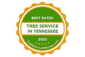 Best rated tree service in tennessee