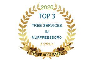 2020 Top 3 tree services in murfreeboro