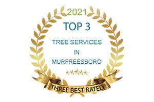 2021 Top 3 tree services in murfreeboro