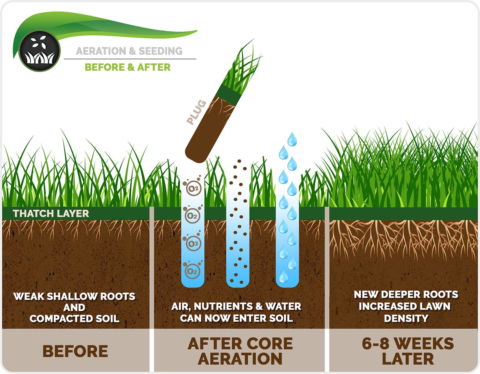 Aeration and seeding