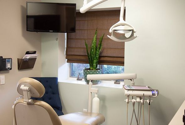 Dental exam room with chair, equipment, TV, and window with a snake plant.