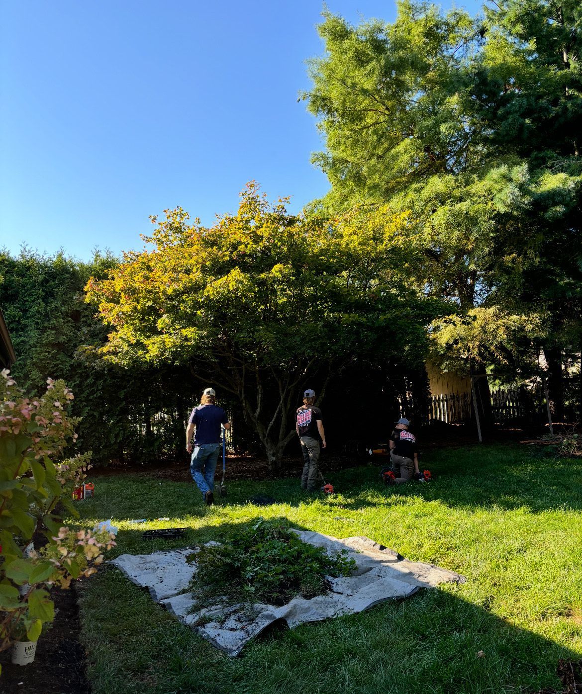 A group of people are working in a backyard.