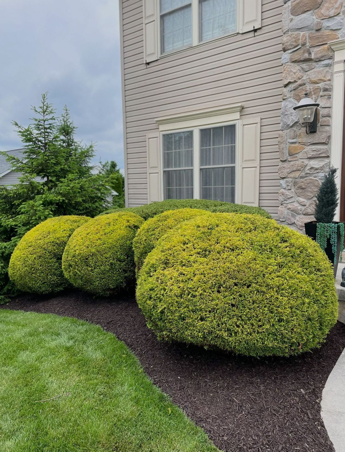 A house with a lot of bushes in front of it.