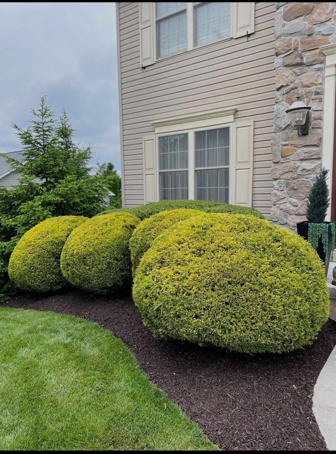 A house with a lot of bushes in front of it.