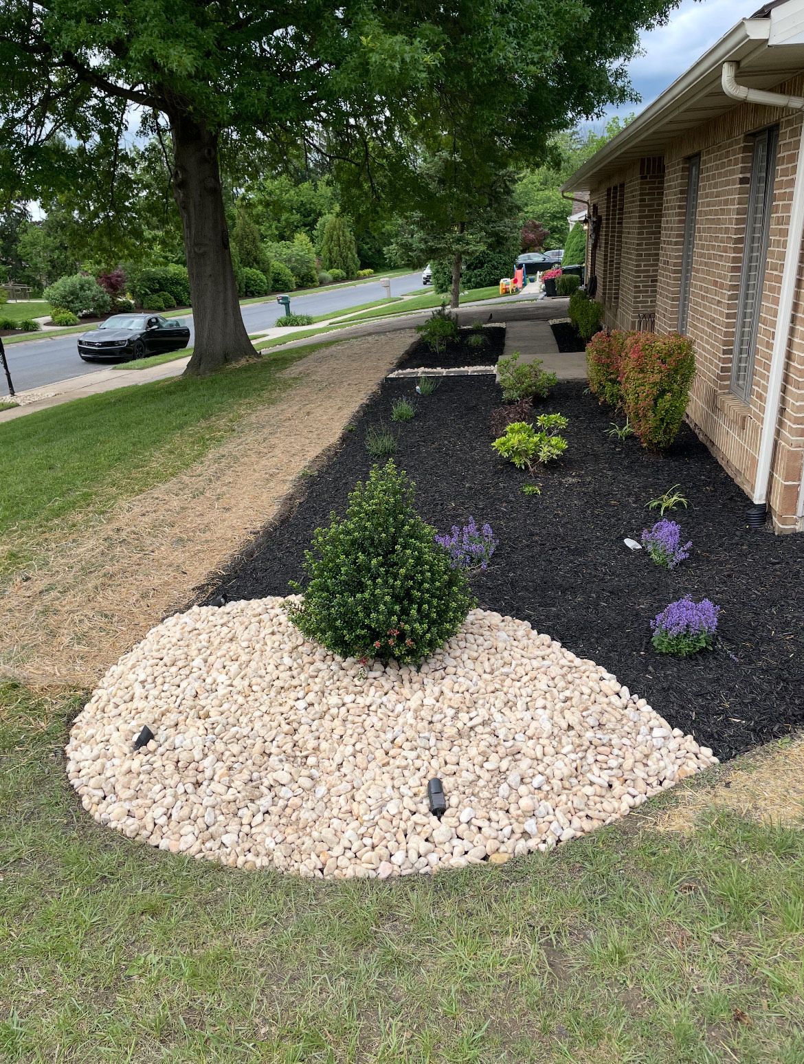 A garden in front of a house filled with rocks and plants.