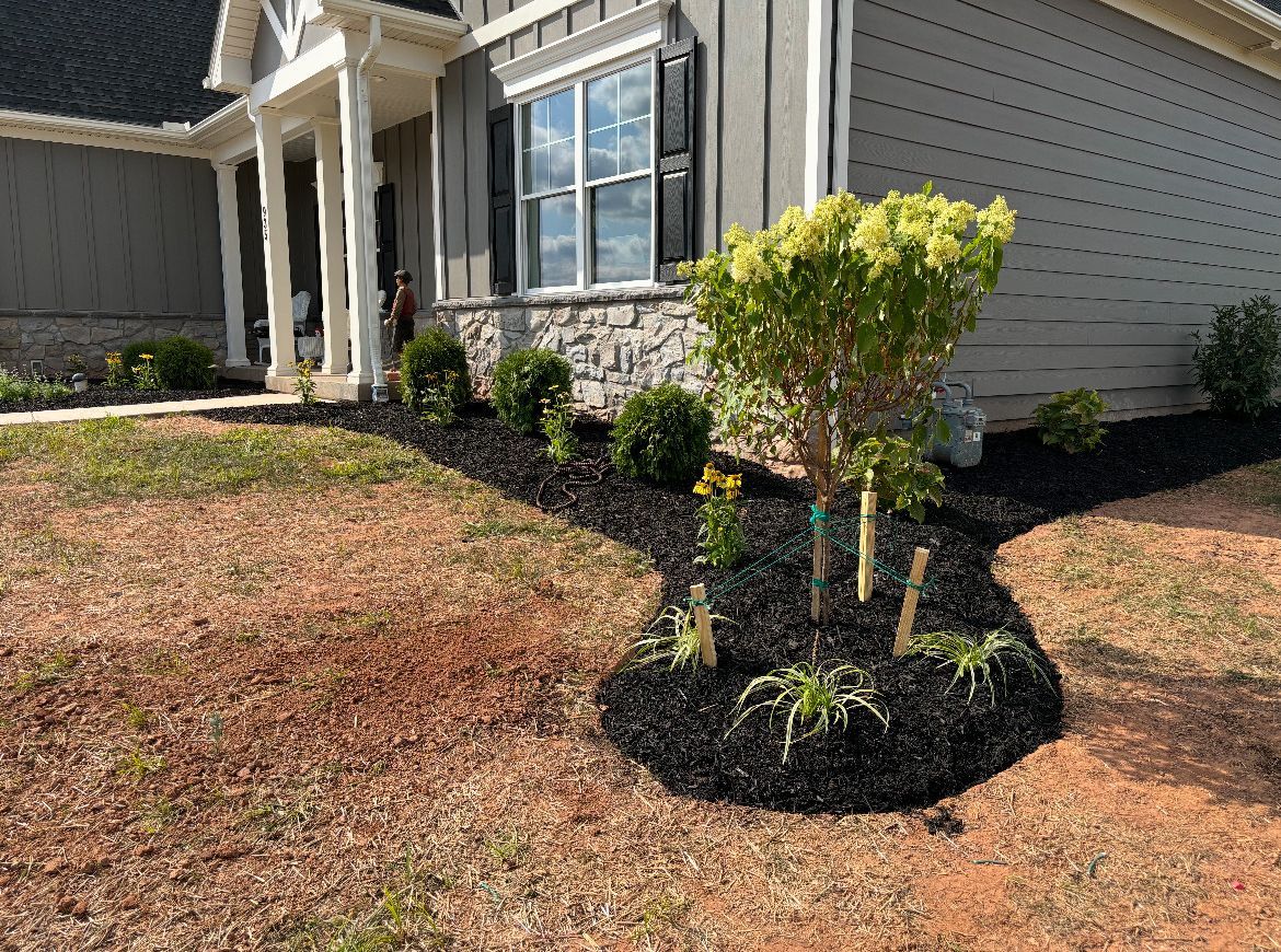 A house with a lot of plants in front of it.