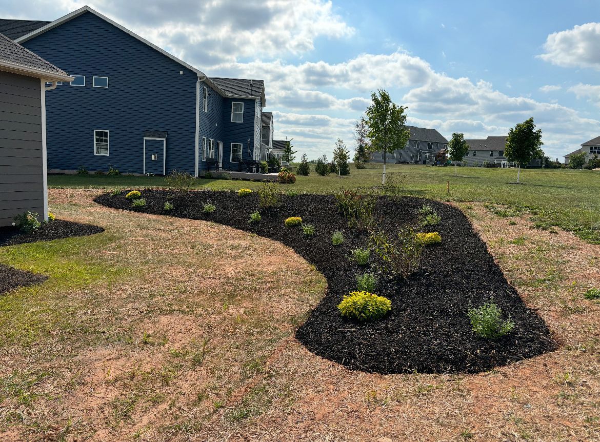 A lush green yard with a blue house in the background.