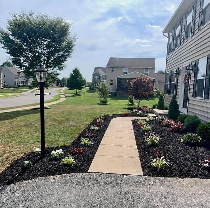 A walkway leading to a house in a residential area.