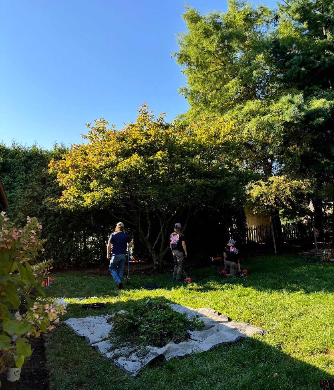 A group of people are walking through a lush green backyard.